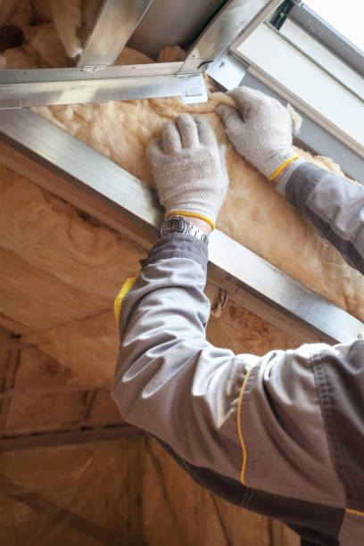 Best Energy-efficient Insulation  in Craig, CO