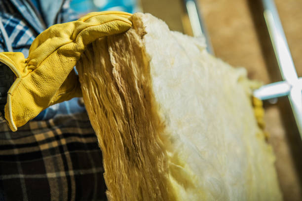 Best Best Insulation Companies  in Craig, CO