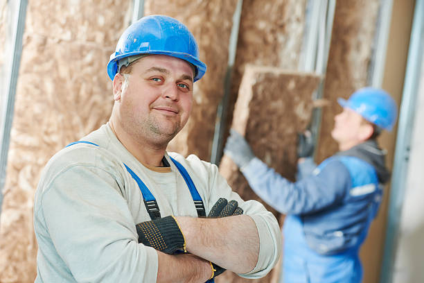 Best Attic Insulation Installation  in Craig, CO