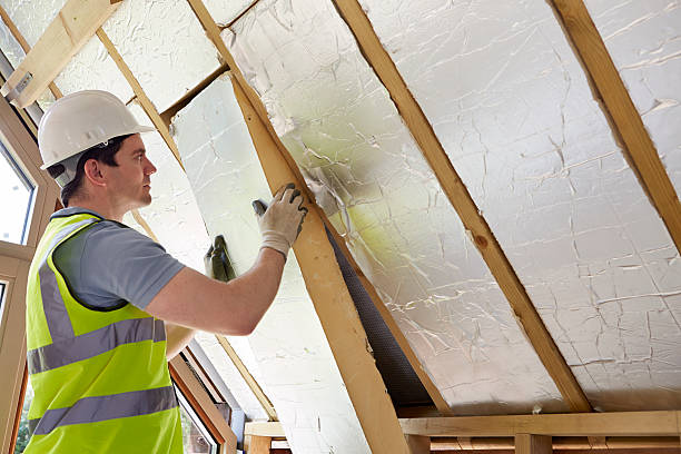 Best Residential Insulation Services  in Craig, CO