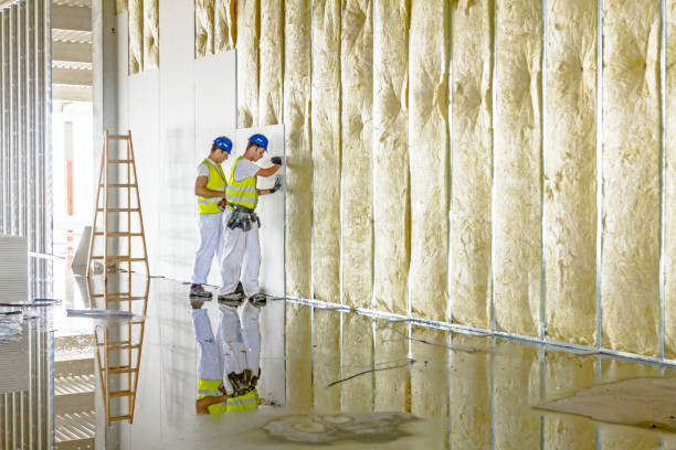 Best Insulation Repair Services  in Craig, CO